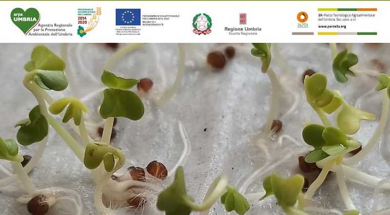 #SaveTheDate Coltivare la biodiversità: la banca del germoplasma dell’isola Polvese. Ne parlerà <a href="/arpaumbria/">Arpa Umbria</a> nel corso di Webinar il 22 settembre 2020 alle ore 10. snpambiente.it/2020/09/11/col…
