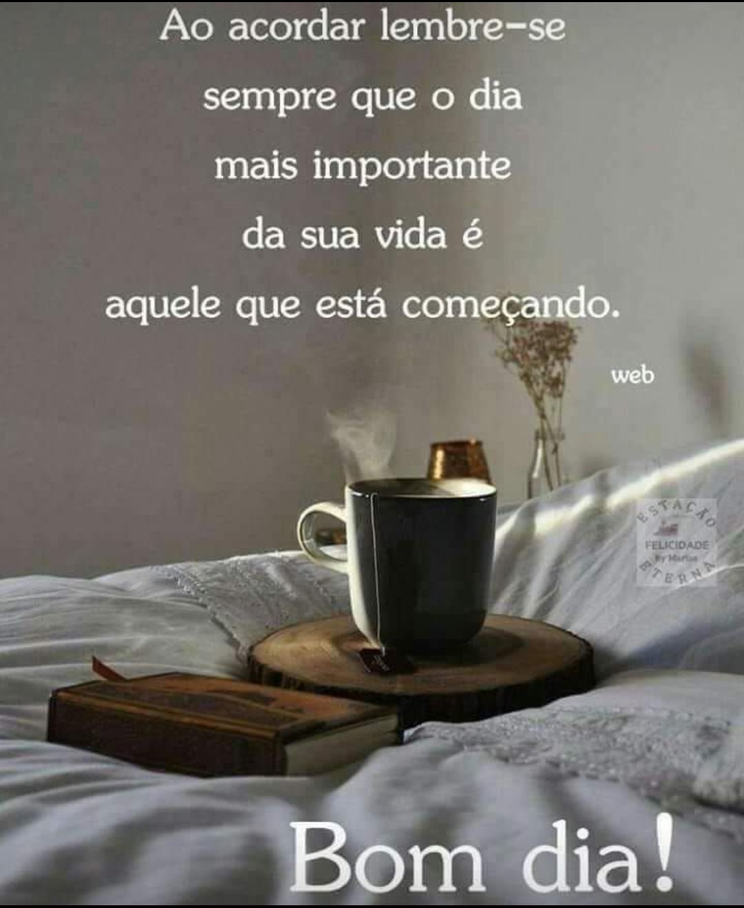 teresadaquevedo@ on Twitter: teresadaquevedo@ on Twitter: