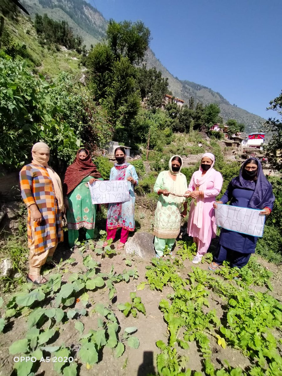 jkposhan's tweet photo. Establishing of Nutri Gardens in upper belts of J&amp;K under POSHAN Abhiyaan https://t.co/KplRE8Ewtw