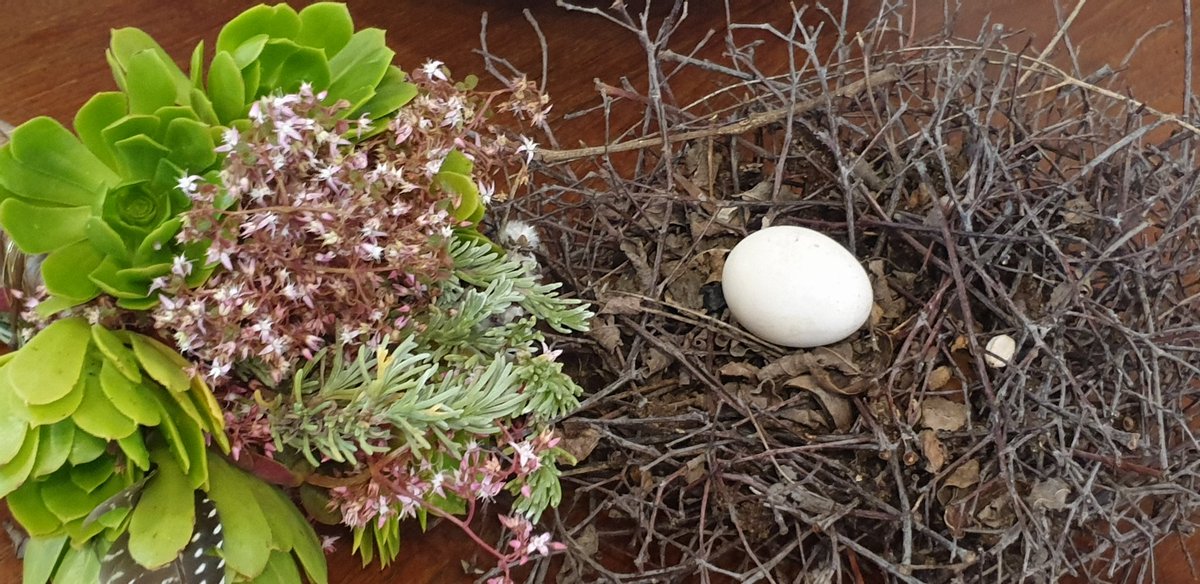 Tussie-Mussie ruikertjie #nampoviturel