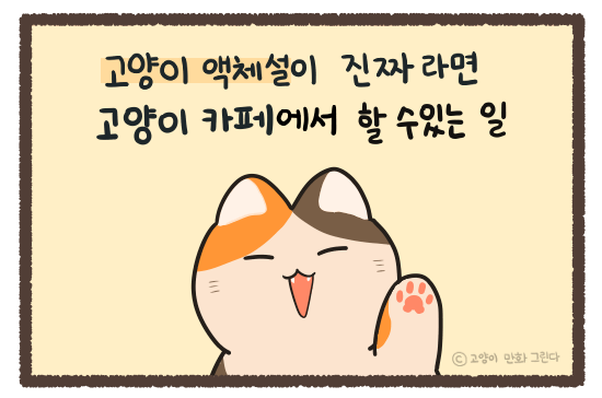 고양이 액체설이 진짜라면 고양이 카페에서 할 수 있는 일 