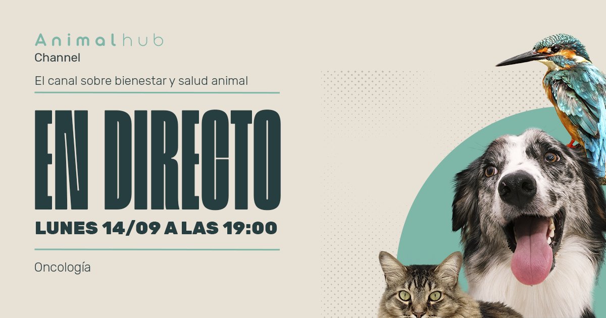 Animalhub_es's tweet photo. ¿Sabías que el 50% de los perros mayores de 10 años sufrirán algún tipo de tumor? Por eso, nuestro próximo #AnimalHubChannel contará con los mejores especialistas en oncología.
📆Lunes 14/07/20 19:00
🔗https://t.co/w3bHBoZlTd
@COLVEMA @ocvespana @amvac_vet @ceve_vet @AVEPA_vet https://t.co/ym6cfzFQ3T