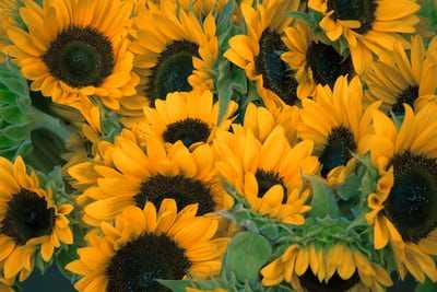 Good morning, Good afternoon, Good evening or Goodnight wherever you are!
QUOTE OF THE DAY
"I'm a great believer in luck, and I find the harder I work the more I have of it." Thomas Jefferson