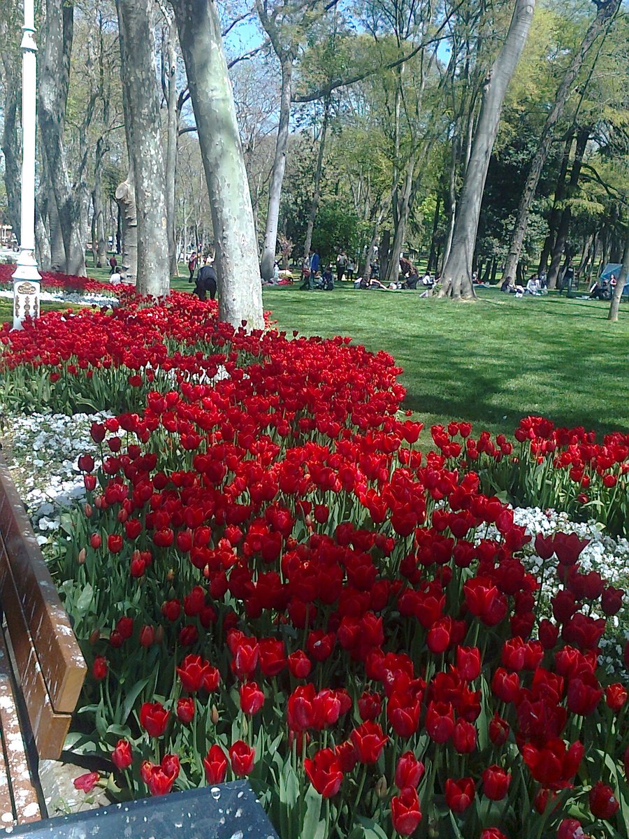 HasanEmecan's tweet photo. Fotoğraflar uygulamasından paylaşılmış
1 fotoğraf https://t.co/Ptf0yN3Q9d