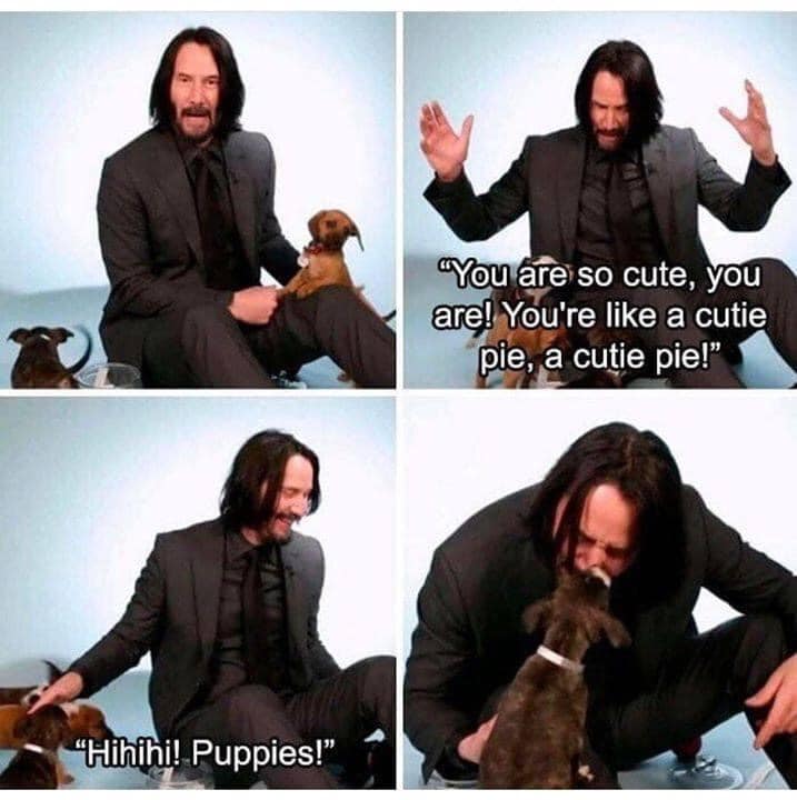 WholesomeMeme's tweet photo. https://t.co/xK0oda9grd