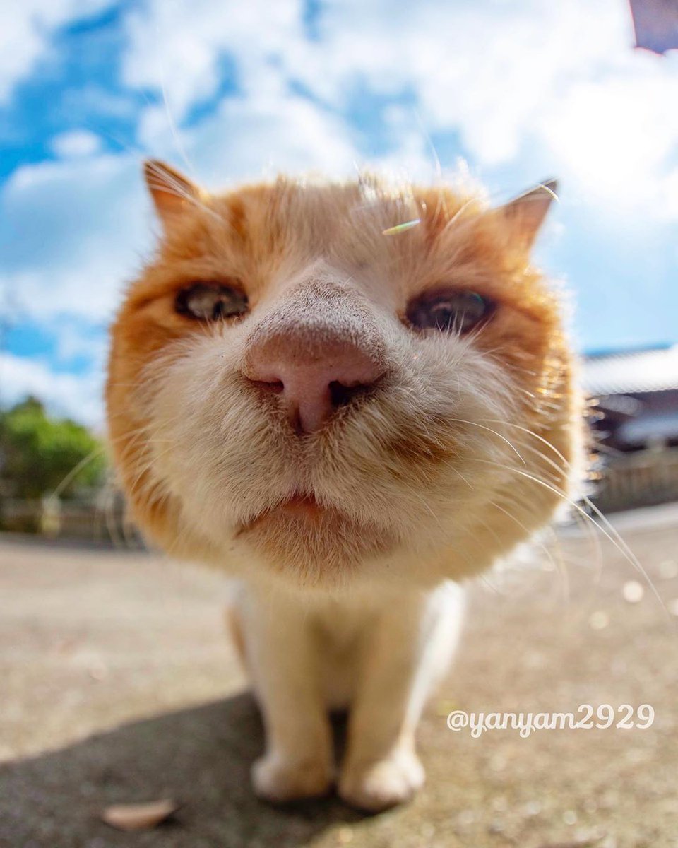 9GAG's tweet photo. Middle-aged man's profile pic be like

📸 yanyam2929 | IG https://t.co/DKC7dC6kIl