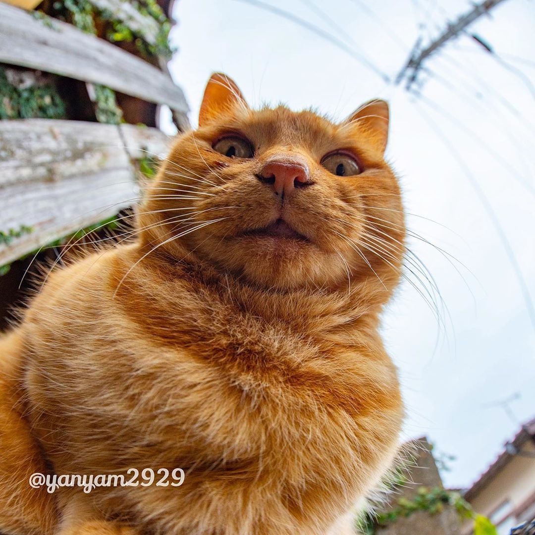 9GAG's tweet photo. Middle-aged man's profile pic be like

📸 yanyam2929 | IG https://t.co/DKC7dC6kIl
