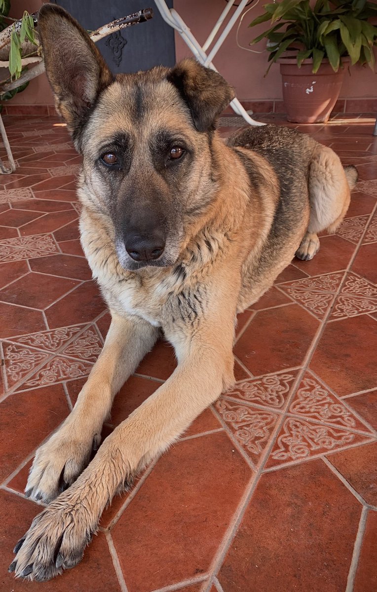 Isaabelmt's tweet photo. Hijas mías ✨🥰 https://t.co/zzMDvGpD3x