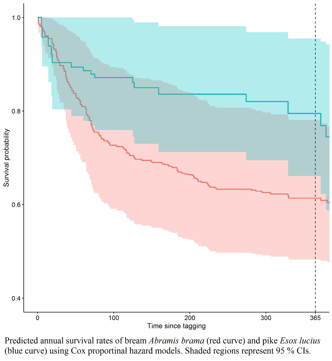 Tagged bream were lost at a higher rate than expected by natural mortality, but we provide the first suggestion of acoustic tag expulsion in this species.Loss rate also varied by date of tagging (bream), day of year (bream & pike) & by sex (pike) https://doi.org/10.1111/jfb.14504 (5/12)