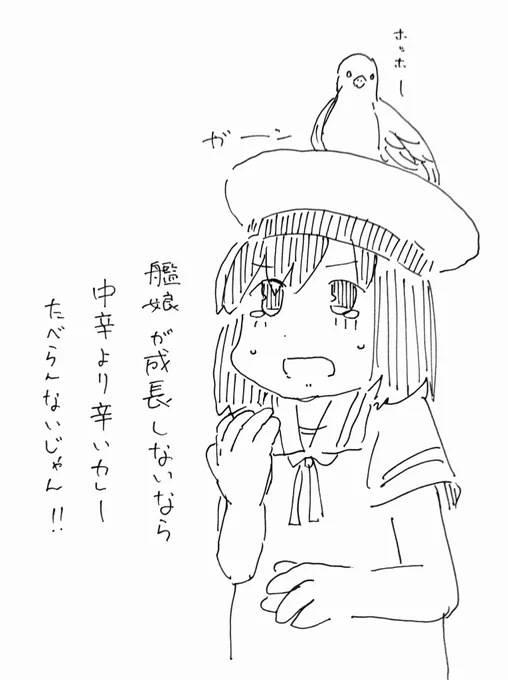 艦娘は歳を取らない事を知り深い悲しみに暮れる。 