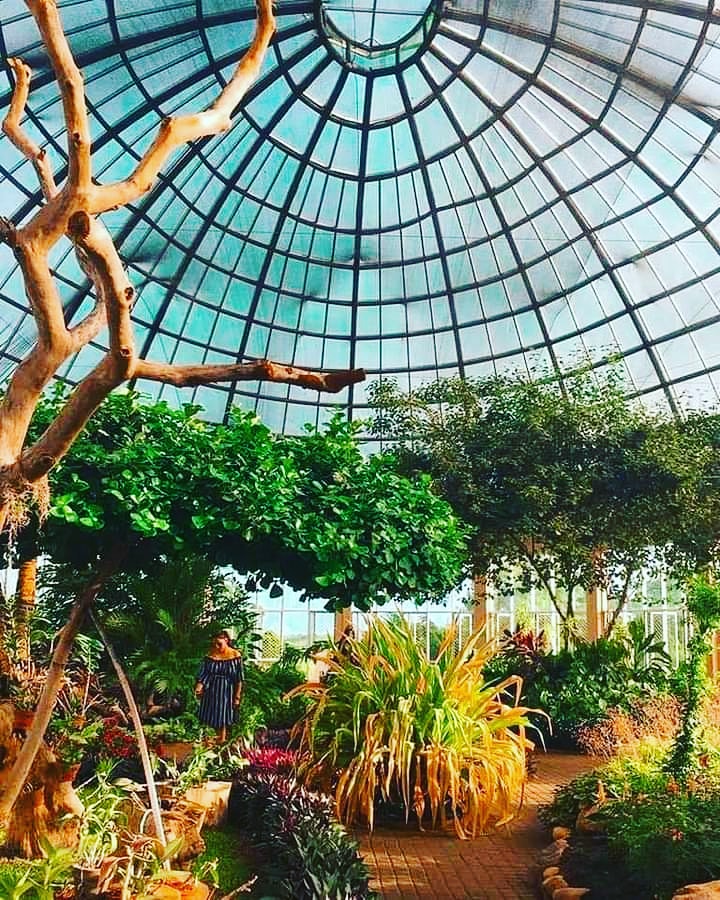 Diethelm_SL's tweet photo. Visit Dry Zone Botanical Garden in Mirijjawila, Hambanthota, which is one of the five botanical gardens in Sri Lanka..

Book your journey of a lifetime with us.
Enquire now: enquiries@lk.diethelmtravel.com or Whatsapp us on +94772667131

📷 : Credits to the creators

#Mirijjawila https://t.co/MDLNfz0smq