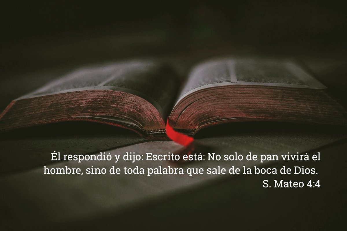 PaposoEl's tweet photo. #ExcelenteViernes #Biblia #FelizFinDeSemana https://t.co/cslTiehoMx