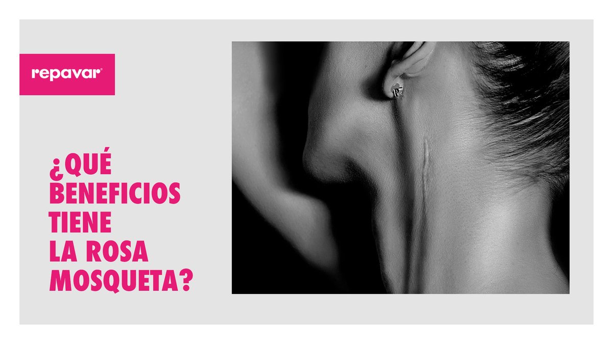 Repavar's tweet photo. En Repavar contamos con más de 25 años de experiencia reparando daños en la piel. Por esta razón, somos el Nº1 en Rosa Mosqueta.
- Regenera y repara cicatrices. 
- Mejora la hidratación de la piel. 
- Aumenta la elasticidad y mejora la  textura de la piel. https://t.co/jPMYbjw833 https://t.co/EVwxE4gvCq