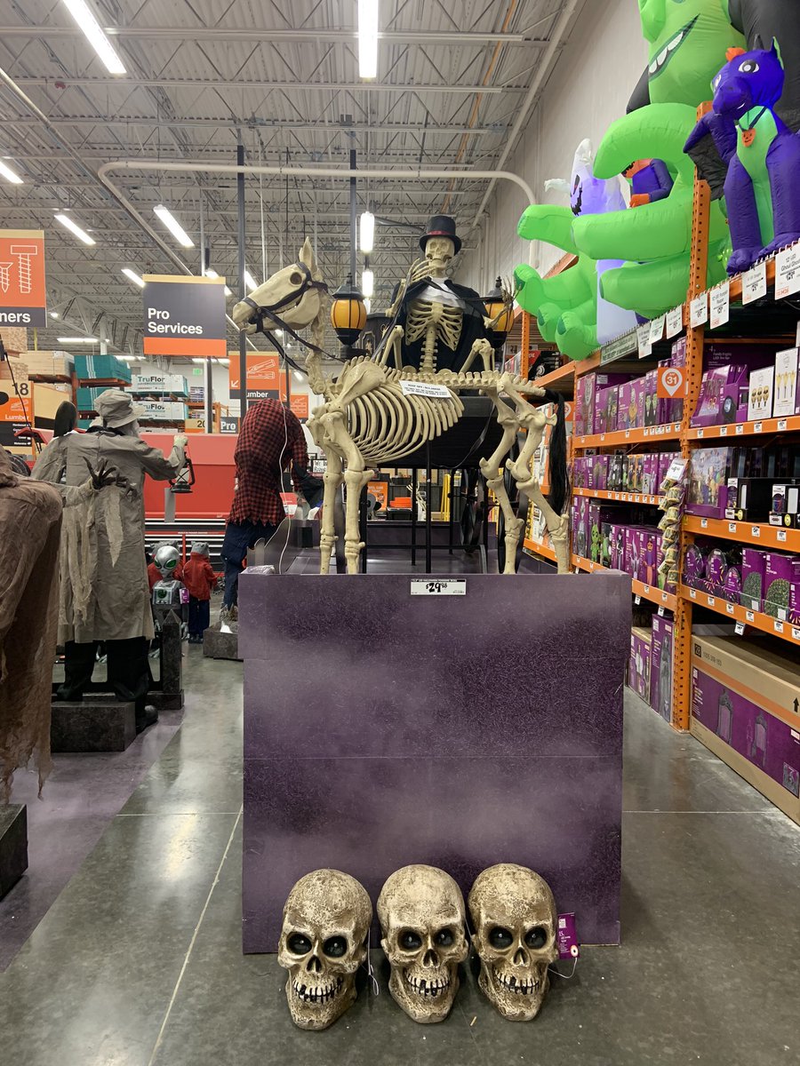 Ashley Orscheln tweet media