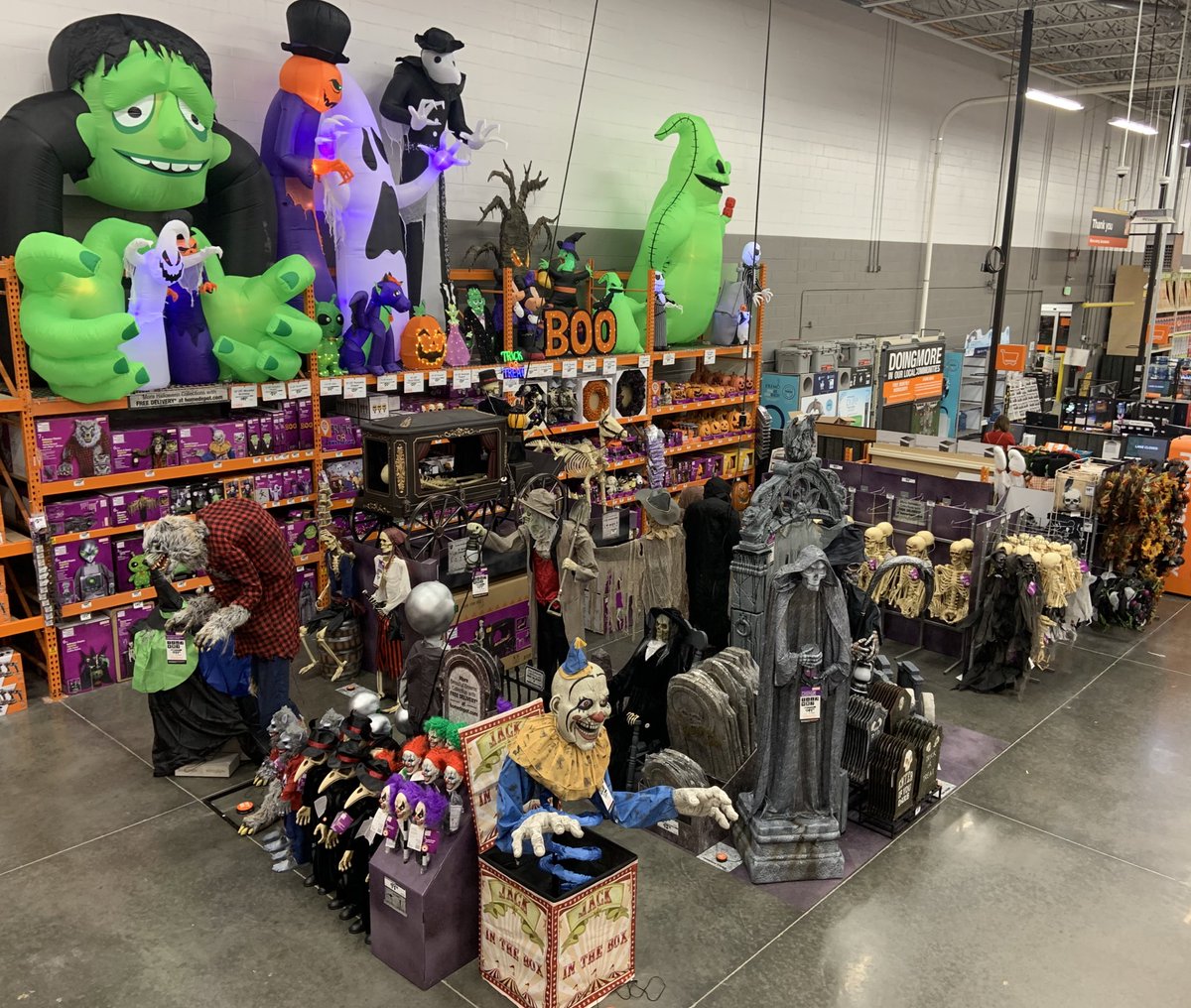 Ashley Orscheln tweet media