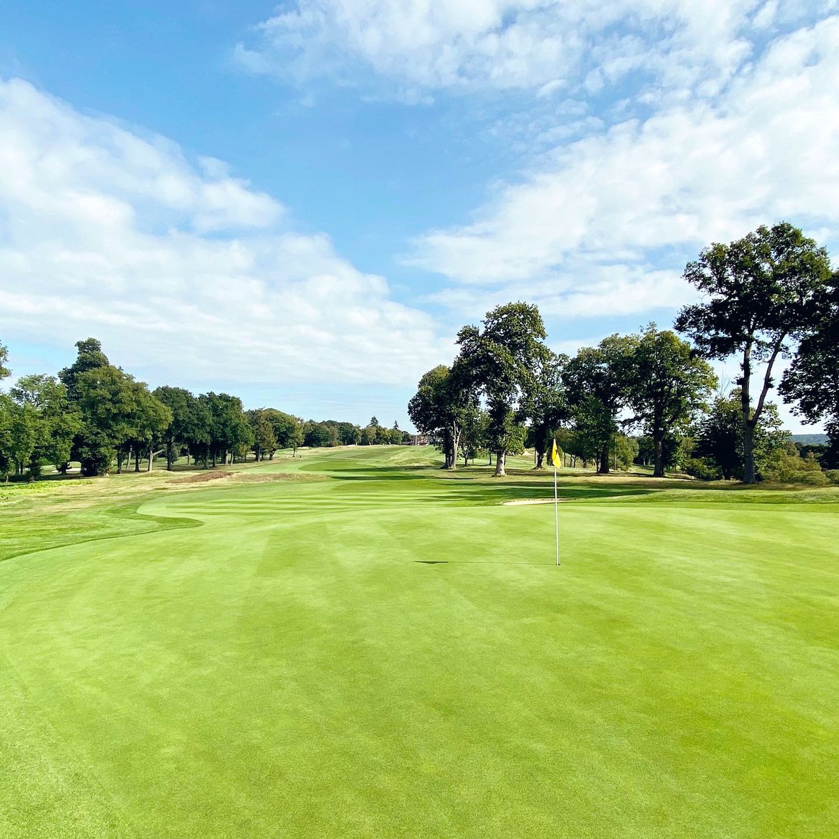 The course is looking good in the lead up to autumn meeting and club championships. Good luck to everyone playing. 

@tandridgegolfclub #golf #surreygolf #tandridgegolfclub #top100golfcourse