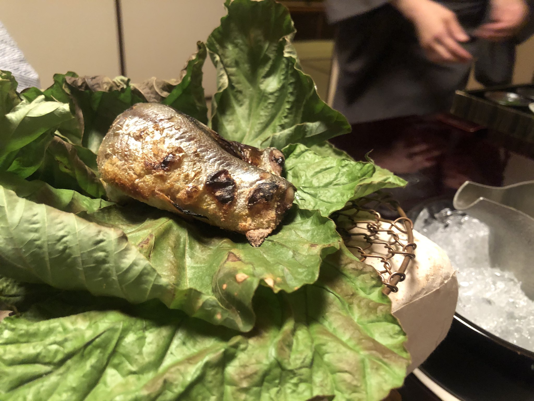 ロバート キャンベル 久しぶりの外食だ 和歌山の子持ち鮎を葛の葉に包んで焼くというスモーキーで野趣に富んだ旨い食べ方 苦味が利いた蓼酢に付けつつ焼津の磯自慢愛山大吟醸をちびりちびりやっているともう 1週間の いいも悪いもみんな吹っ飛んでいっ