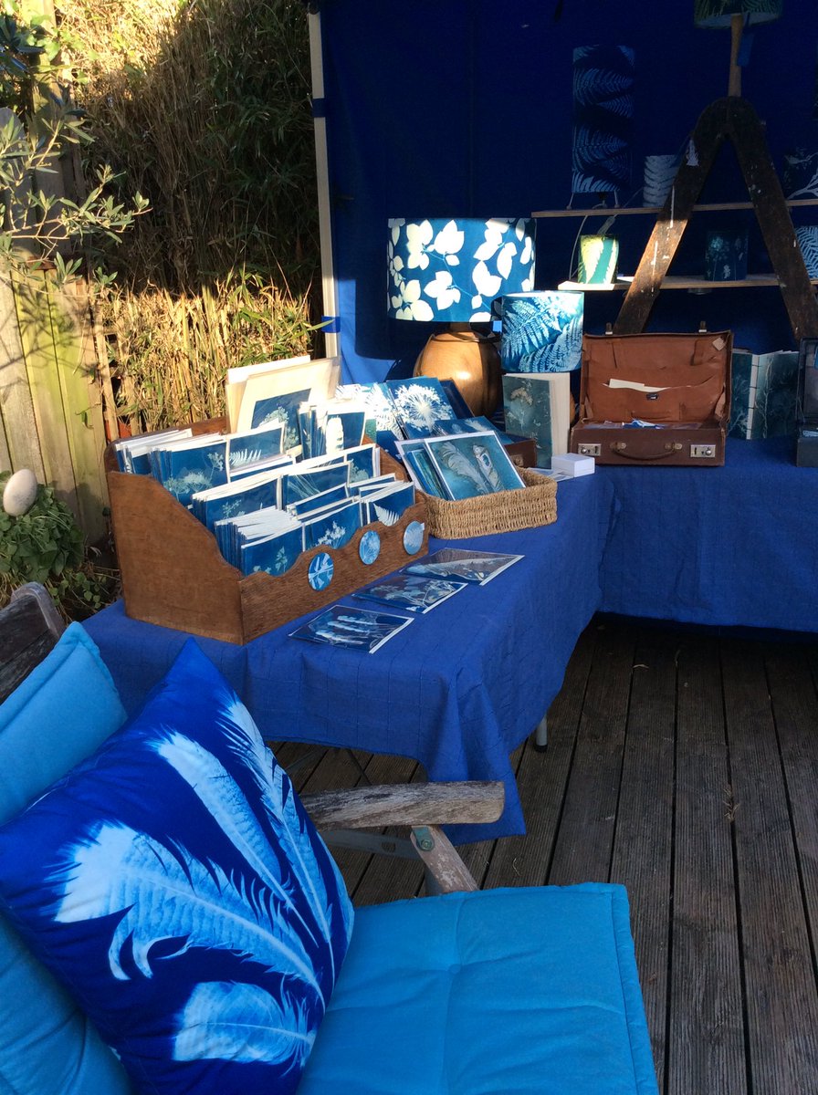 DevonArtistNet's tweet photo. #devonopenstudios2020 Excitement is building as artists get ready for visitors ... Cyanotypes by Bridget Arnold @ArnoldBridget Venue 64 #devonopenstudios 12th - 27th September. Download the brochure and plan your visits https://t.co/ljJuK1FzB4… https://t.co/pmNW0kGxWR