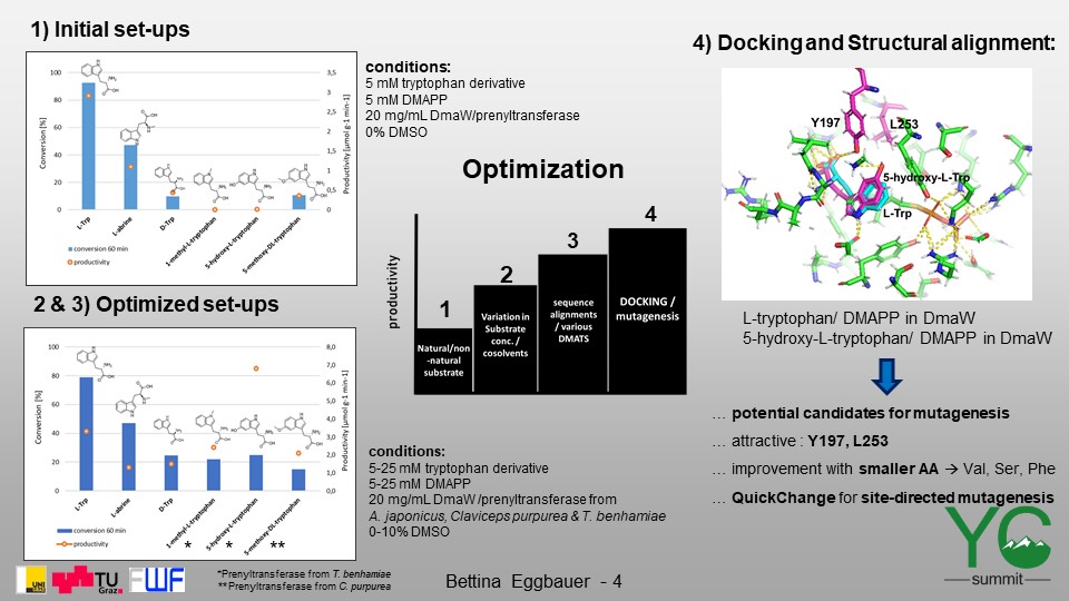 elk_crew's tweet photo. Possessing pharmacological activities, ergot alkaloids are attractive for #drugindustry. Wouldnโt it be great to have a simple synthesis route? Bettina Eggbauer from the #elkcrew investigates an in vitro #productionplatform for ergot alkaloid derived APIs. #biocatalysis #YCS20 https://t.co/QDH4NczPPg