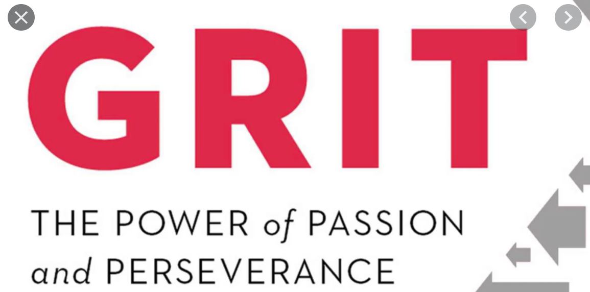 moscardellil's tweet photo. Challenging year for many. Lifequakes have taken place and many lives have been lost but as I re-read this interview that I gave shortly before the onset of my own ongoing lifequake I am reminded that GRIT is the name of the game #lifequake #2020sucks -- https://t.co/NA92ULE69O https://t.co/8vPzHuBWhn