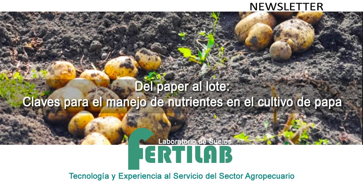 FertilabLab's tweet photo. 8° COMUNICACIÓN TÉCNICA 2020:
Del paper al lote: Claves para el manejo de nutrientes en el cultivo de papa
https://t.co/kDU7t0xnll
@ReussiNahuel @garciaf_nutri @natydiovi @fcabalcarce
#papa #nitrogeno #fosforo #azufre #calcio #zinc #boro #PBray #suelos #muestreo #analisis https://t.co/vEulhuwAy6