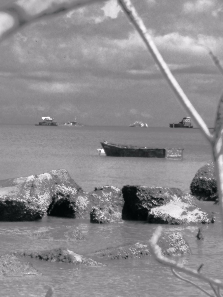 hammerclawmusic's tweet photo. A visit to Claxton Bay in #monochrome and #muted colors 

#freelance #lumibee #snapseed #drytrees #processed #pxs #photoshopmobile #blacknwhite #blue #horizon #water #deserted #gulf #Rocky  #tree #chill #nikon #depth #trinidadandtobago #desert #Caribbean #freelancing  #travel https://t.co/MLErdApMr1