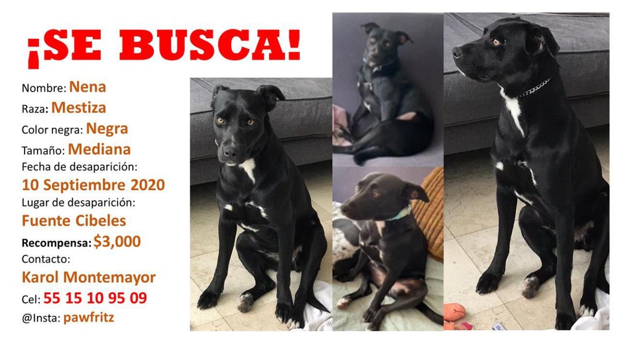 El Sr. Agapito tweet media