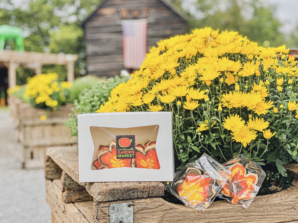 WE'RE ALL SET. Our fall decor has arrived! Come by this weekend to visit the pumpkin patch and see what you can find!
PLUS, it's time to bring back our soft and sweet MAPLE LEAF SUGAR COOKIES! 
We're Open Friday - Sunday from 10am to 6pm or shop at farmtakeout.com.