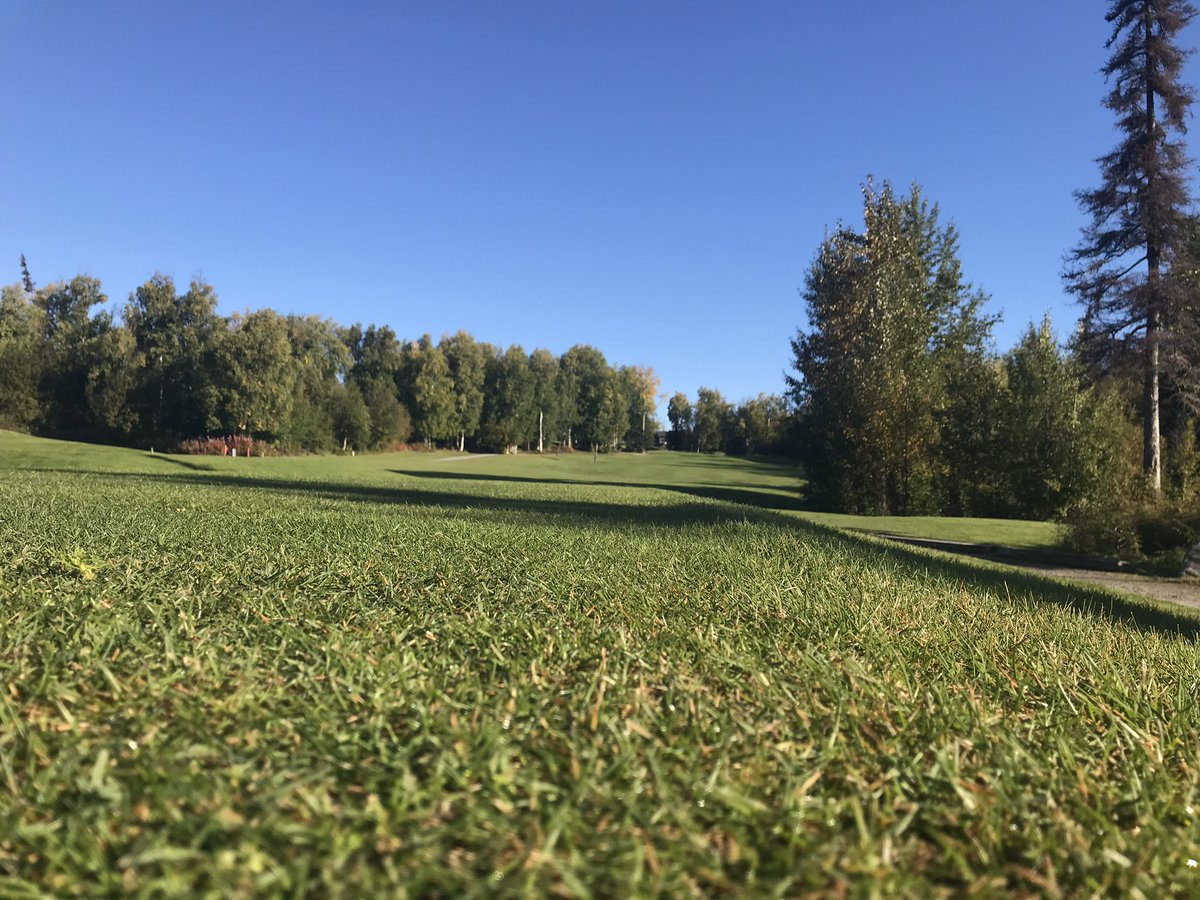 SheronKPatrick's tweet photo. Happy to be out supporting #AccreditedBusiness The Greater Wasilla Chamber of Commerce for the “Last Ball of the Season” golf tournament! Swag, sun rays and smiles is what I’m handing out today! @BBBNWP #StartWithTrust #BBB #Wasilla #Alaska #Golf #Swag #Sun #Smiles https://t.co/nBCFSdEOdr