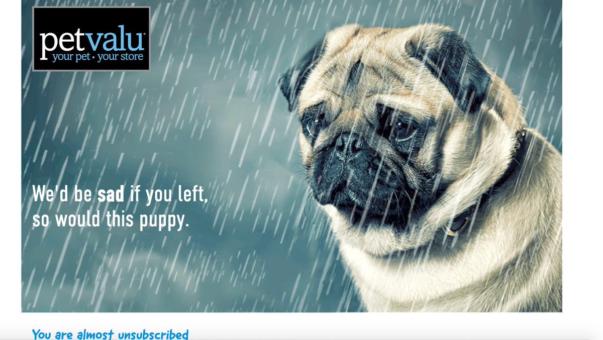 A pug is in the rain with the text "We'd be sad if you left, so would this puppy."