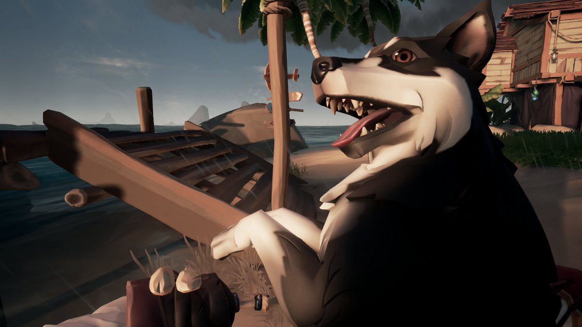 CaptainJollydog's tweet photo. Best thing to happen in 2020 is that @RareLtd added a Border Collie called Domino, which is my Border Collie's name. Just.. thank you. ❤️ #BeMorePirate #WhosAGoodGirl #TearsOfJoy https://t.co/jQt9FusAsI