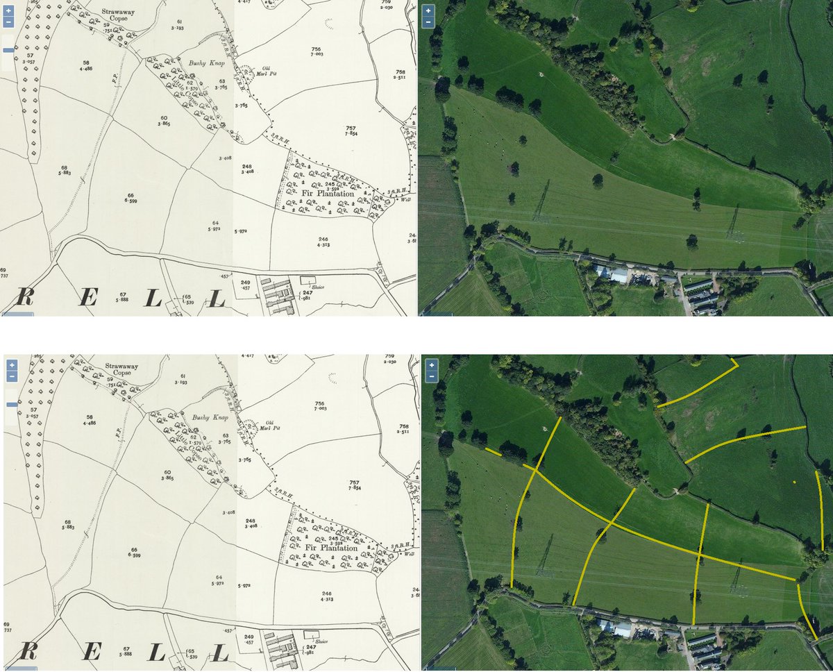 Important to note that not all hedges are/were lost through being ripped up. Some are lost through being cut to the same height year in year out. Some are lost through lack of any management - hedge turns into a line of trees that slowly topple.