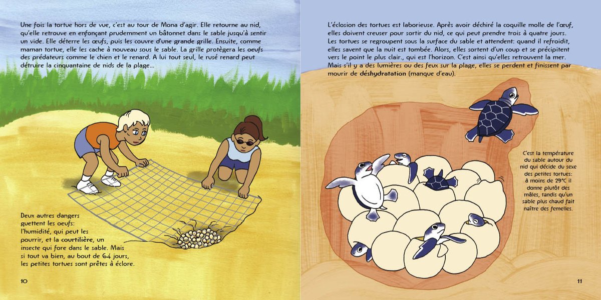 6. Sea Turtles and Endangered Species: Started as the story of Mona Khalil's fight to protect sea turtles and their eggs, but we expanded it into a survey of Lebanese wildlife and how it fit into the culture. Who knew what is now Hamra used to be Wewiyye cuz jackals roamed there?