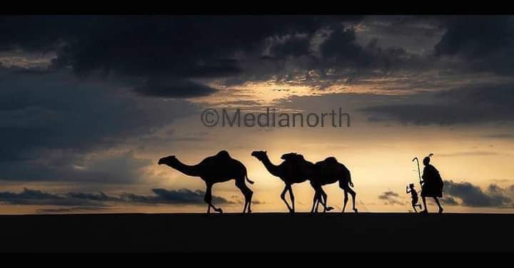 'I lost patience with small talks, And I feel in love with desert storms, Yonder in the lonely planet, Where the Giants Trod'
#Medianorth #MagicalKenya #TembeaKenya #Beautifulnorth  #Landscapes #Kenya #NorthernKenya #Wildphotography #Capturethewild #Wildnorth @mariokuraki