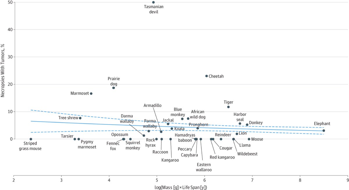 So we have some theory that predicts a positive correlation between body size, lifespan and cancer risk and evidence of such a correlation within species...But, between species there is no correlation between either body size or lifespan and cancer risk! https://jamanetwork.com/journals/jama/fullarticle/2456041