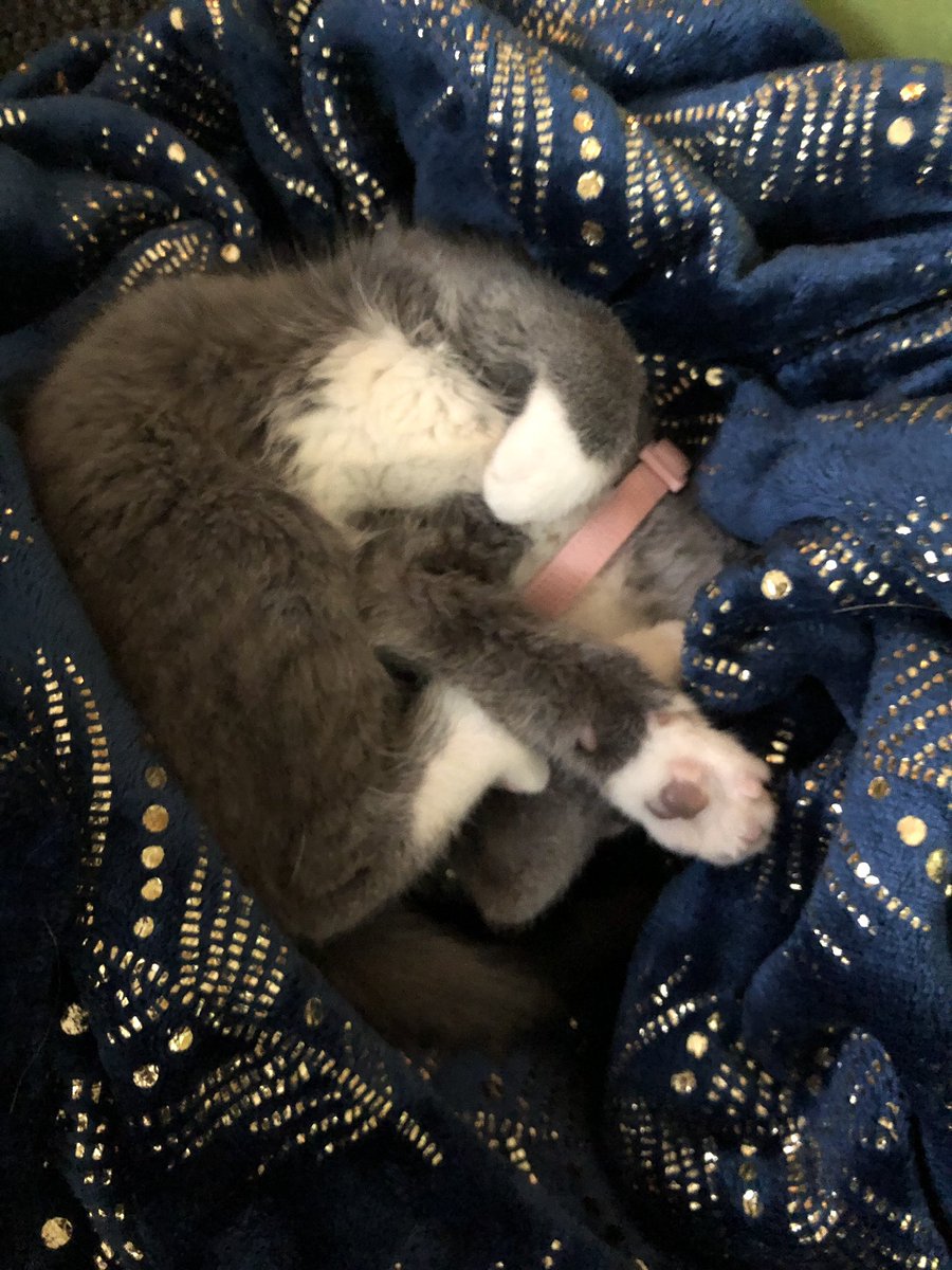 Suzanne Earley tweet media