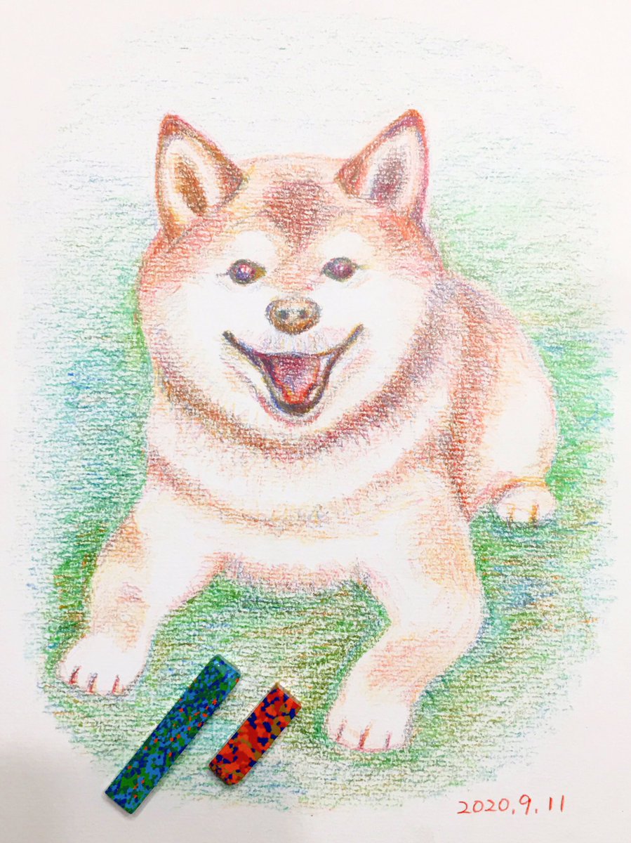 Chippoke ようこ V Twitter 犬絵 79 柴犬 クレヨン 色で遊ぶクレヨン 犬イラスト イラスト 犬の絵 犬 しばいぬ しば Chippoke犬絵