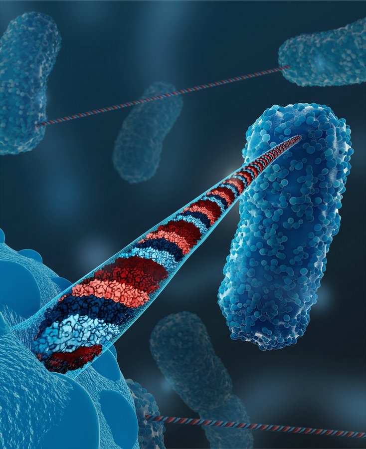 Announcing #OWCryoEM online seminars about algorithms and math in cryo-EM. 
First talk: 9/23 11am ET/ 5pm CEST, Edward Egelman. Cryo-EM and Helical Polymers: A Natural Affinity.
Free registration. cryoem.world #cryoem