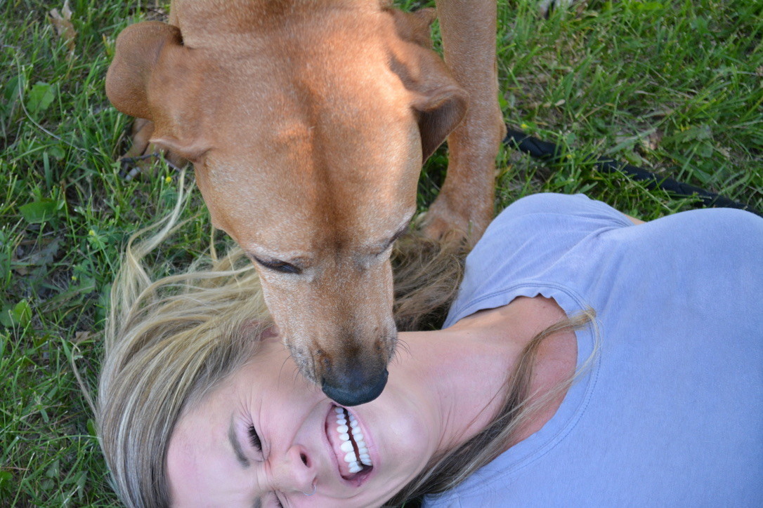 AmServicePets's tweet image. Everyone thinks they have the best dog, and none of them are wrong!  #bestdog #mansbestfriend #doglove #dog #kisses