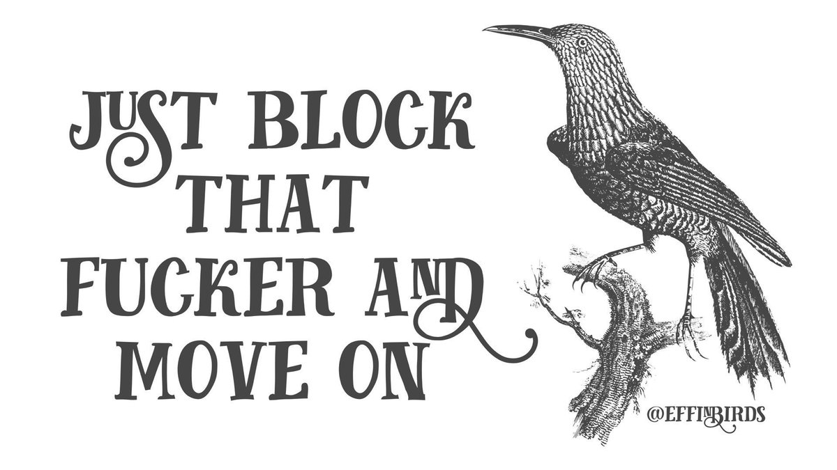 Effin' Birds (@effinbirds) on Twitter photo 
