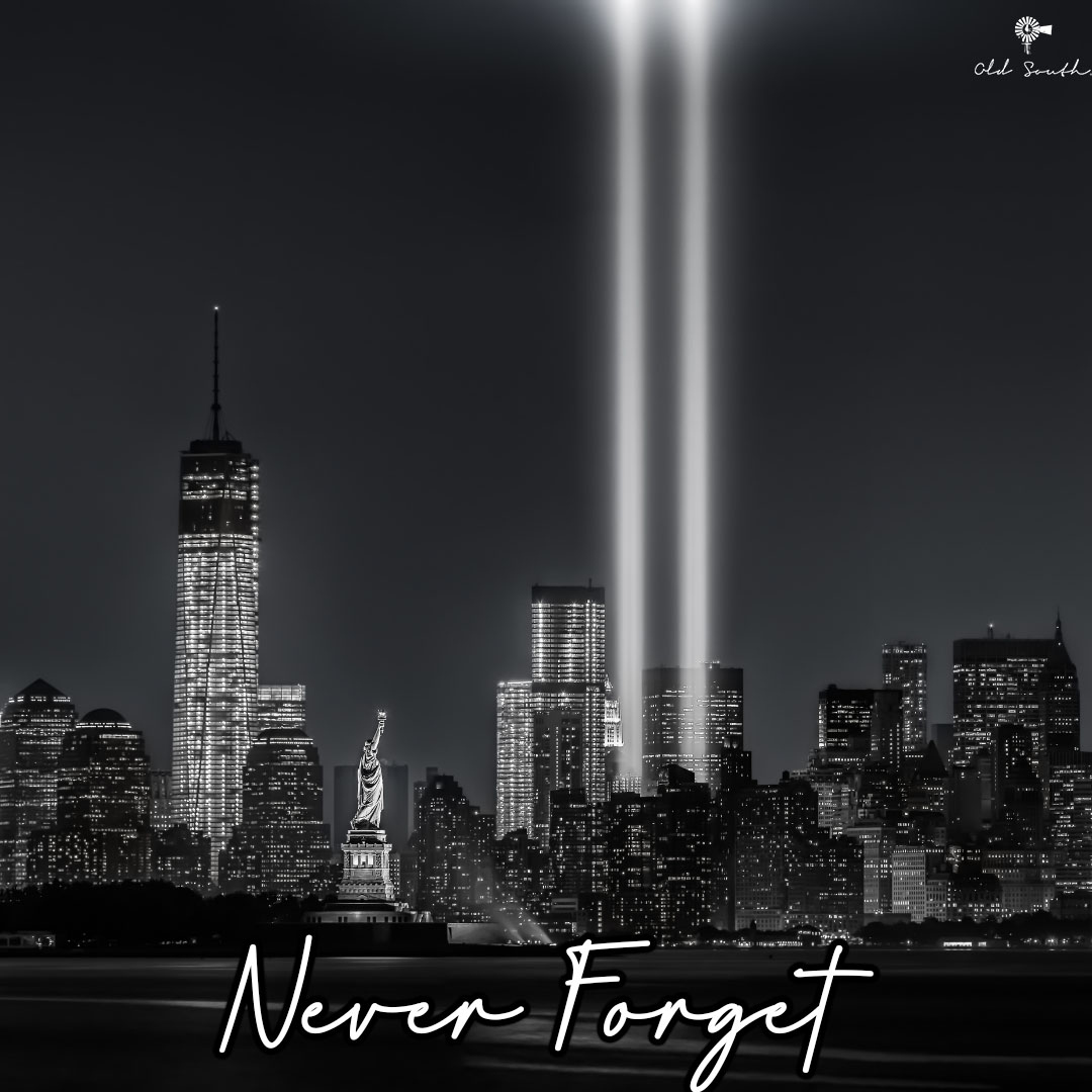 Never Forget 🇺🇸

#southern #southernstyle #hunting #fishing #huntingseason #oldsouthapparel
- Shop Online at OldSouthApparel.com