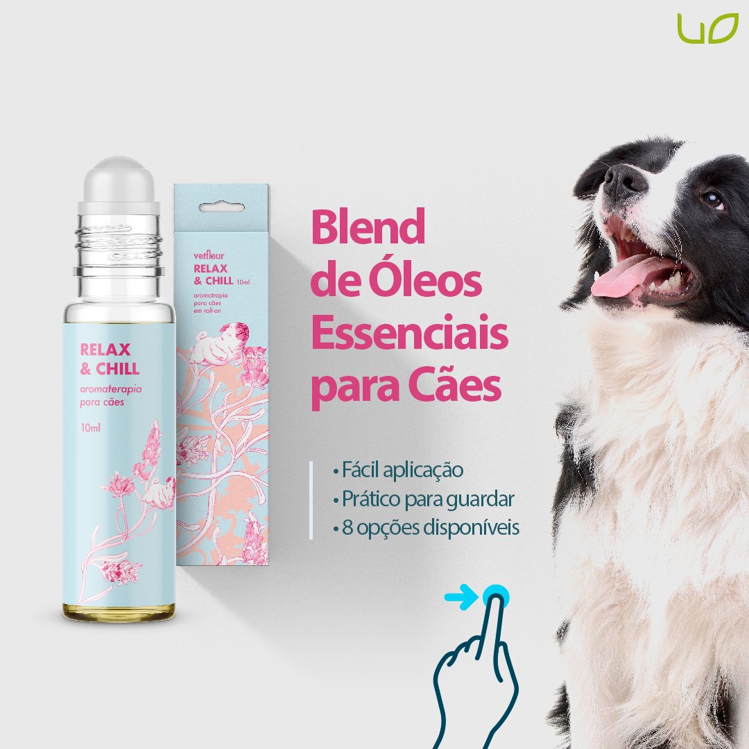 useorganico's tweet photo. Chegou uma super novidade na Use Orgânico: Blend de Óleos Essenciais para Cães!

Confira a super novidade acessando https://t.co/jL5ZMTGS89

#useorganico #aromaterapia #caes #aromaterapiaparacaes #oleoessencial https://t.co/mtsLpL2DS1