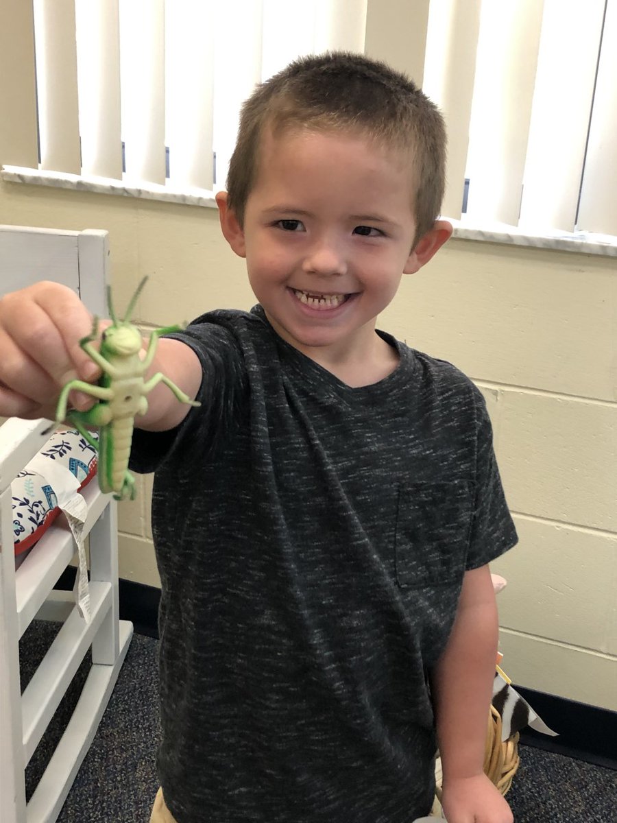 UmatillaElem's tweet photo. Ms. Riley's Pre-k class is working on the letter Bb and had show-n- tell today with objects that start with B they brought from home. https://t.co/q3AbVq5RLE
