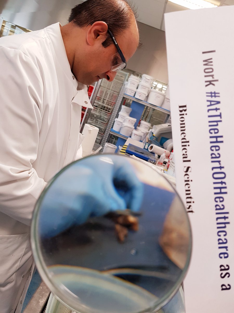 What a harsh year this has been for all of us, but here at <a href="/ElhtPathology/">Pathology_ELHT</a> we have kept focus. Thanks to everyone in the team for playing a role in the response to the pandemic and let’s keep this momentum going as it’s not over yet. <a href="/IBMScience/">IBMS #AtTheHeartOfHealthcare</a> <a href="/ELHT_NHS/">East Lancashire Hospitals NHS Trust 💙</a>