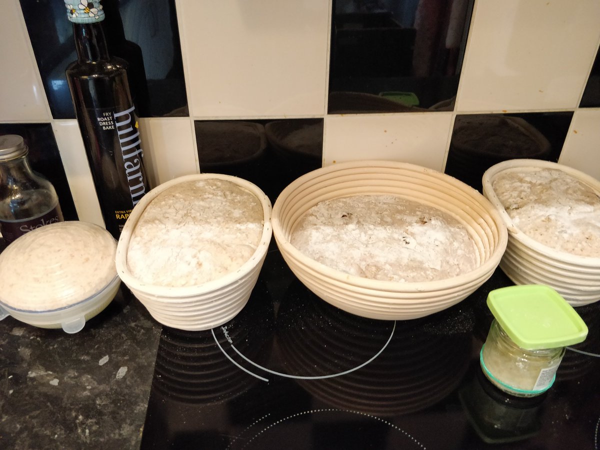 Netherking9's tweet image. Into the fridge they go! Baking in the morning. They have puffed up nice so fingers crossed 😅
#SourdoughSeptember 
#bread