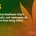 Image for the Tweet beginning: Facts 💯💚
#Cannabis 