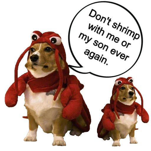FinanceShrimp's tweet photo. 🚨🚨Shrimp Unite!

🚀Advanced Pool: $Sashimi, Coming soon at 24 hours! (2020/09/12 10:00:00 UTC)
￼
💎Pay attention to the movement of the shrimp immediately!

@SASHIMISASHIMI5
 
🔥More info: https://t.co/OI2MFYoEg4 https://t.co/TUSDrPKB5i