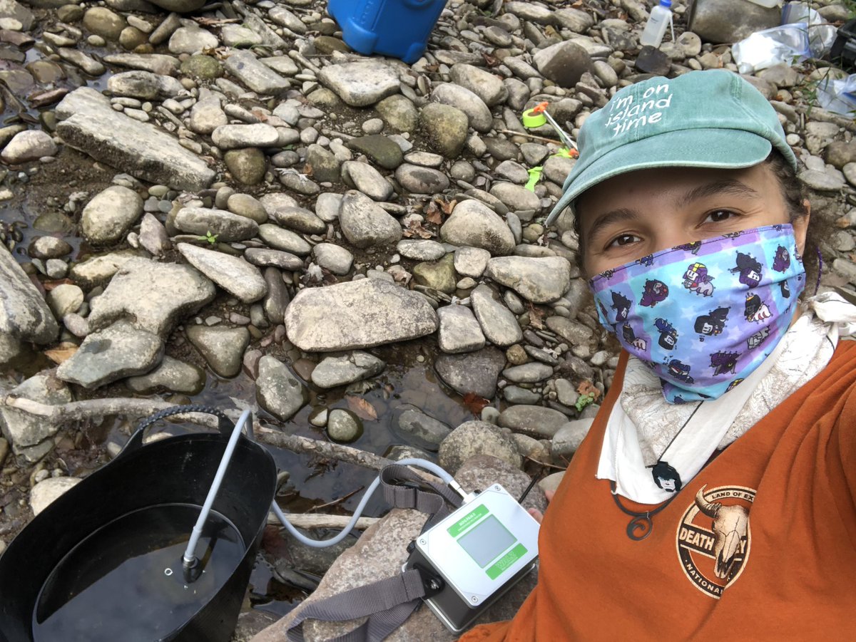 Patch_The_Medic's tweet image. PAM (taking Rapid light curves there), dark adapting samples for PAM, me and the device, and the site! The others are off getting more stuff haha #AlgaeTime #PercysLab