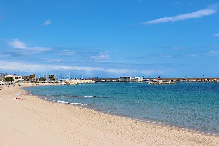 The Travelling Chilli tweet media