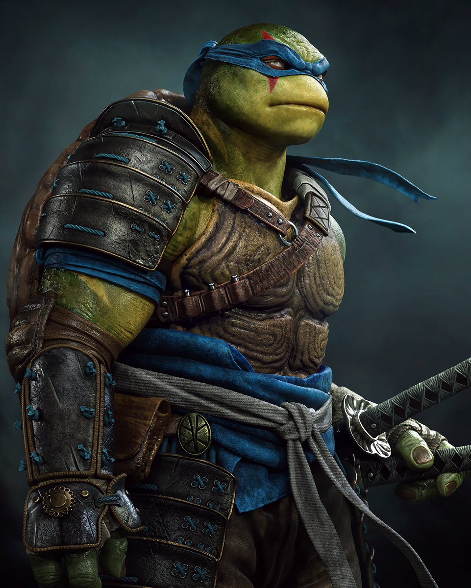 rafagrassetti's tweet photo. 🐢 Leo https://t.co/irYLMNVlda